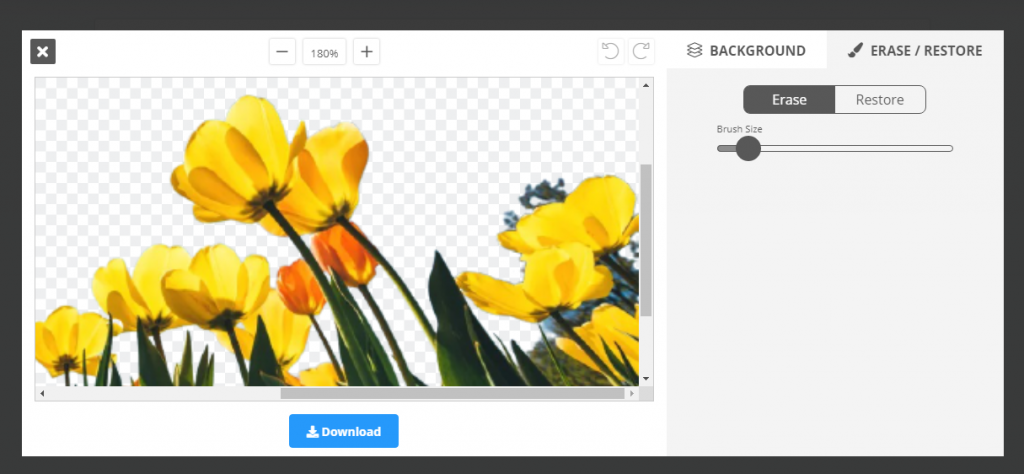 Imagen de la herramienta RemoveBG para eliminar fácilmente el fondo de tus fotos